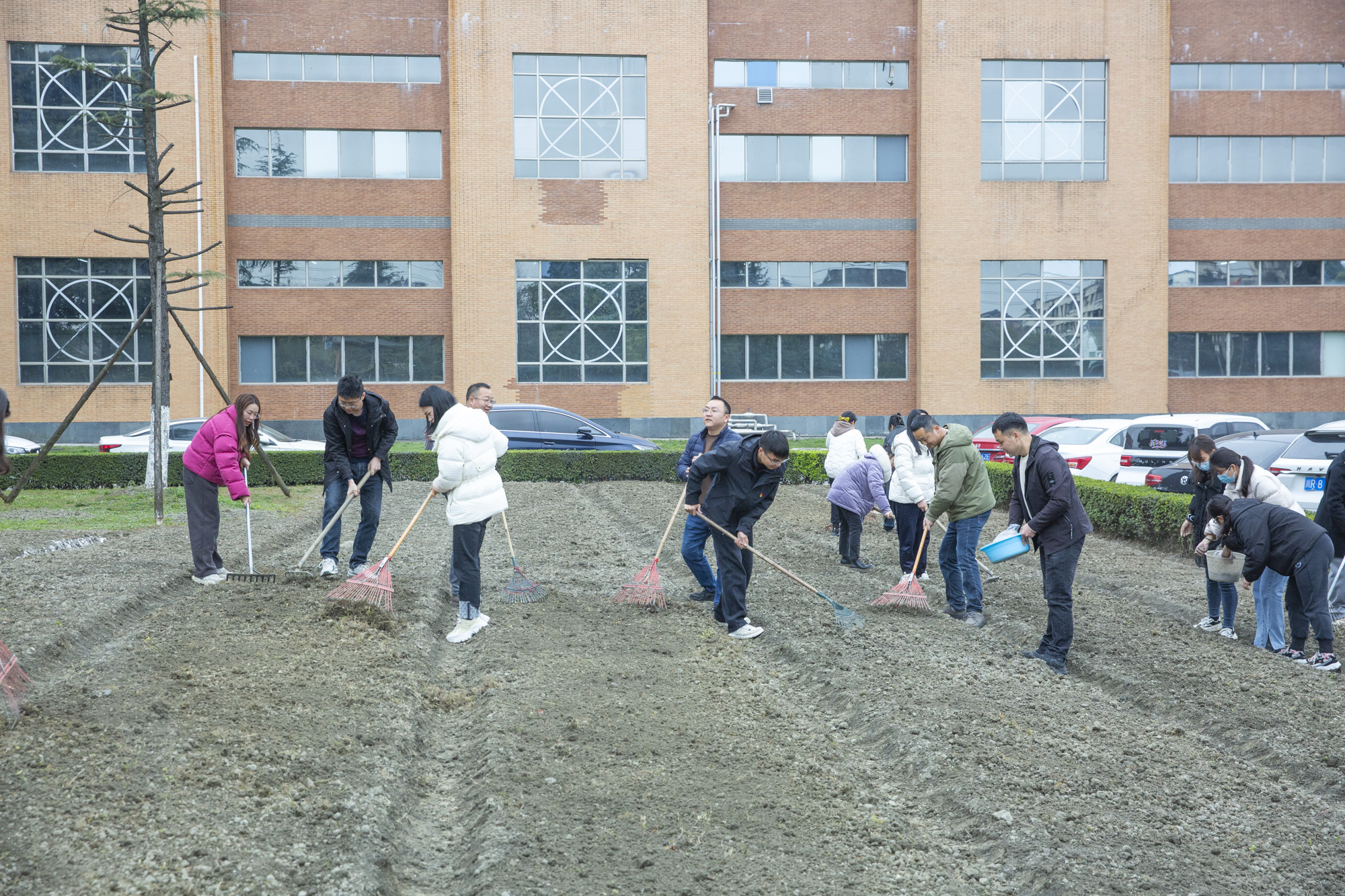 植樹節(jié) | 四川海蓉開展“植此青綠，擁抱春天”植樹節(jié)活動(dòng)